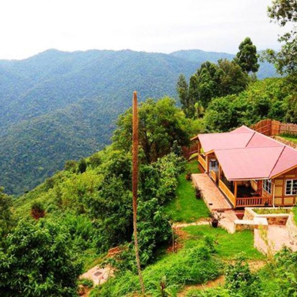 Nkuringo-Bwindi-Gorilla-Lodge