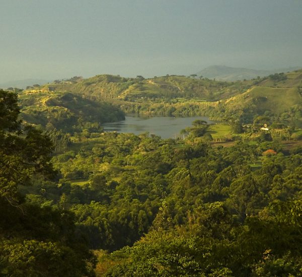 kibale-forest-national-park-uganda