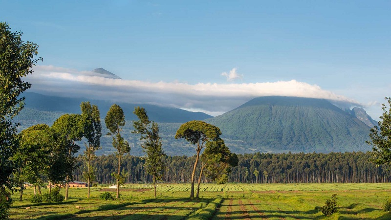 best time to visit Rwanda for gorilla trekking