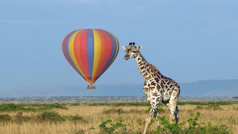 Hot Air Balloon Over Murchison Falls National Park