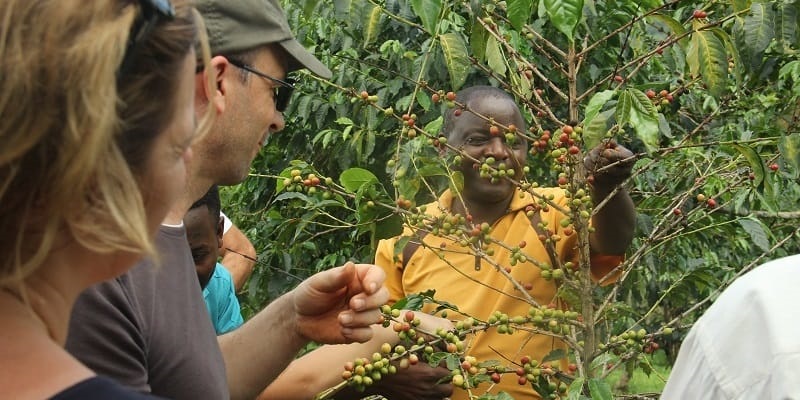 rwanda coffee tours
